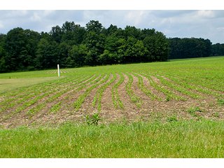 Property photo 38 - LAND AUCTION - 700+/- ACRES OFFERED IN 16 TRACTS IN ALLEN COUNTY, INDIANA